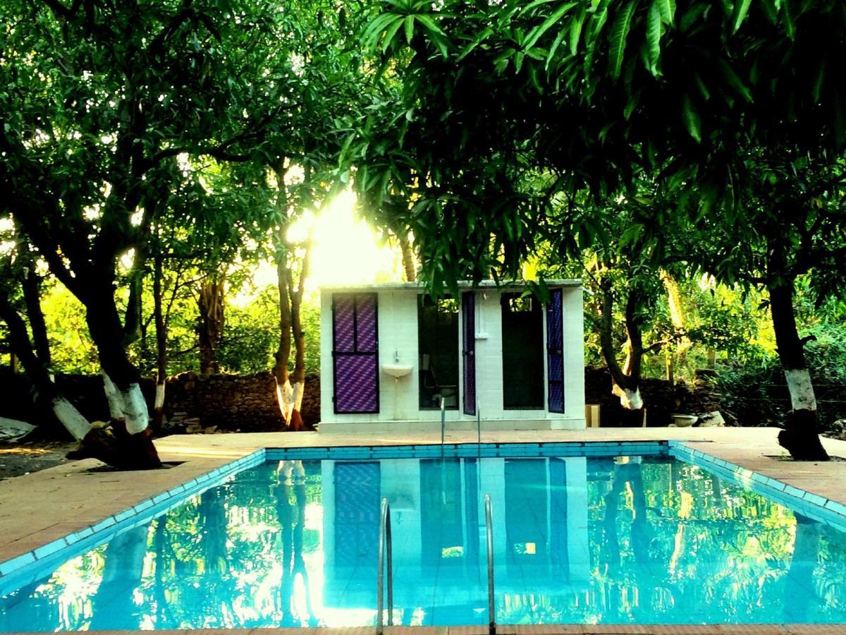 The Wilds Villa Gir Jungle Stay With Swimming Pool Sasan Gir Buitenkant foto