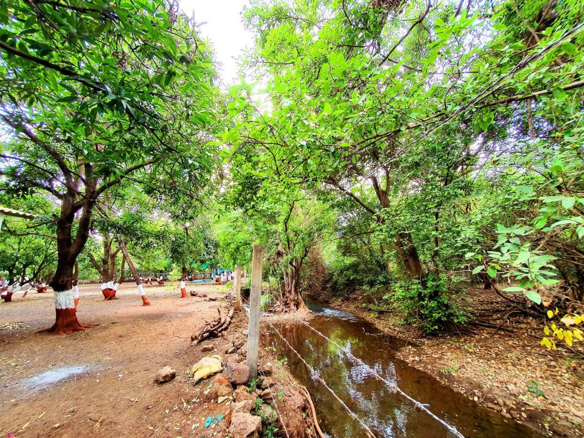 The Wilds Villa Gir Jungle Stay With Swimming Pool Sasan Gir Buitenkant foto