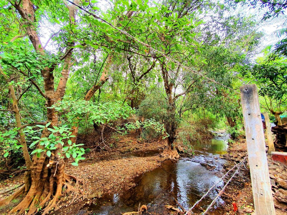 The Wilds Villa Gir Jungle Stay With Swimming Pool Sasan Gir Buitenkant foto