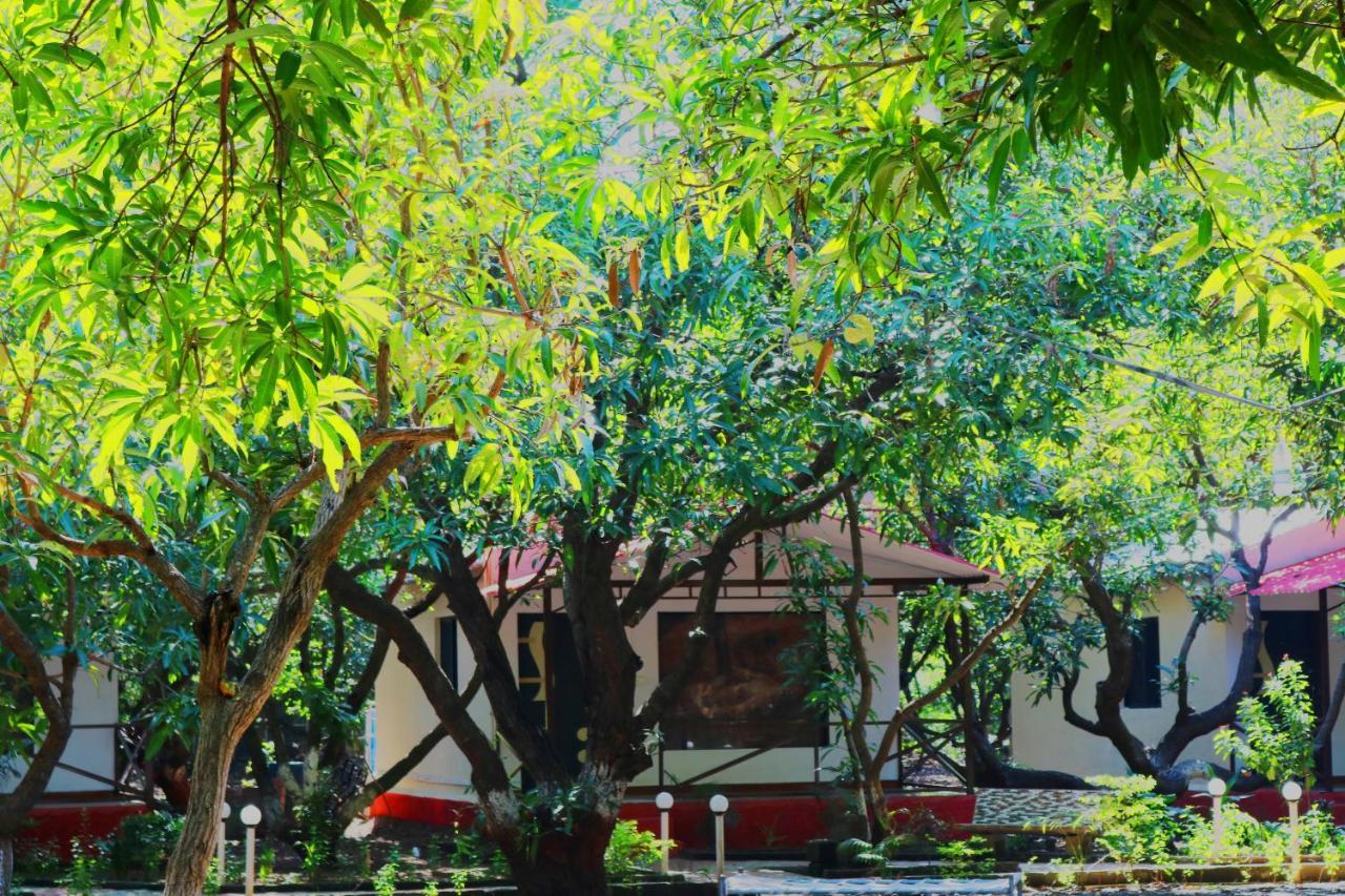 The Wilds Villa Gir Jungle Stay With Swimming Pool Sasan Gir Buitenkant foto